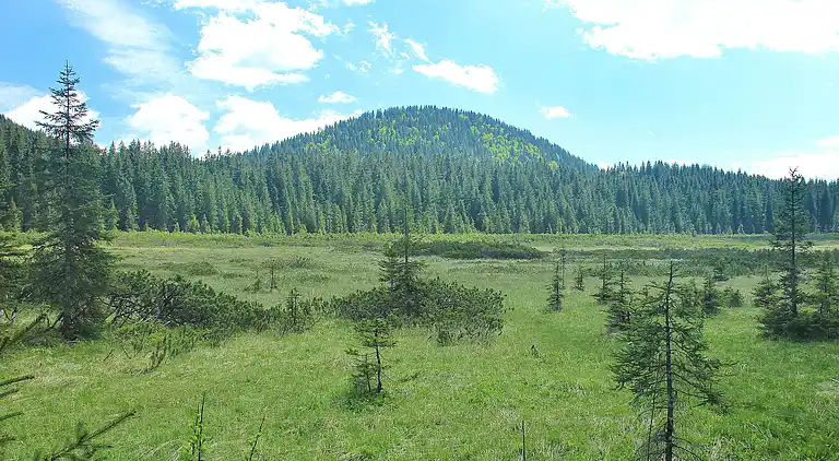 Ferielejlighed i Goreljek