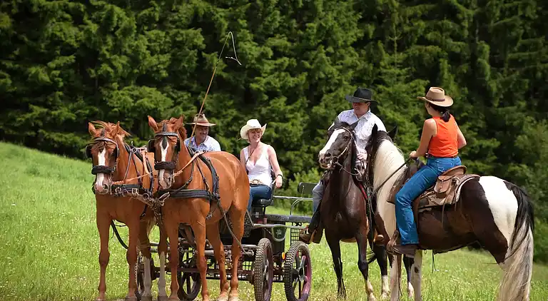 Ferielejlighed i Gosau