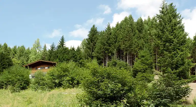 Cottage in Hinterglemm