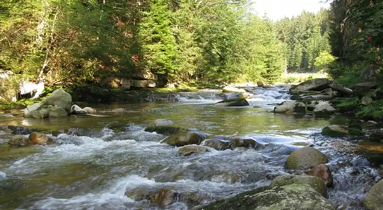 Apartment in Zlatá Olešnice