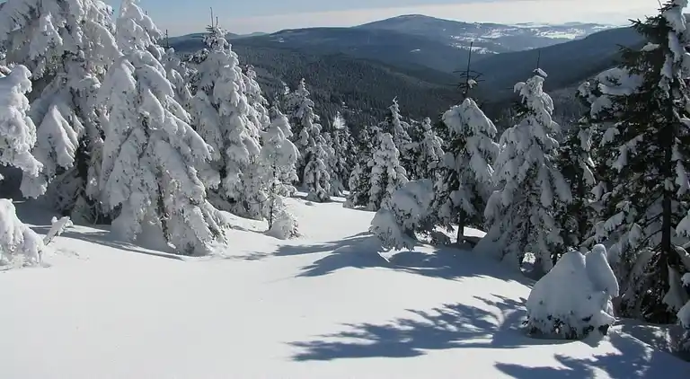 Apartment in Zlatá Olešnice