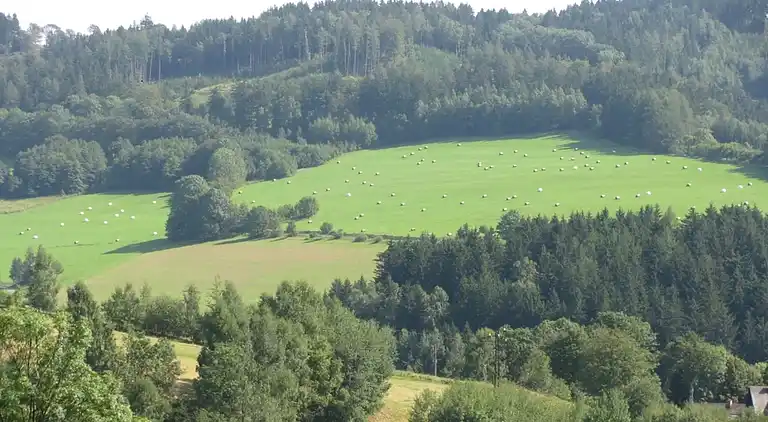 Apartment in Zlatá Olešnice