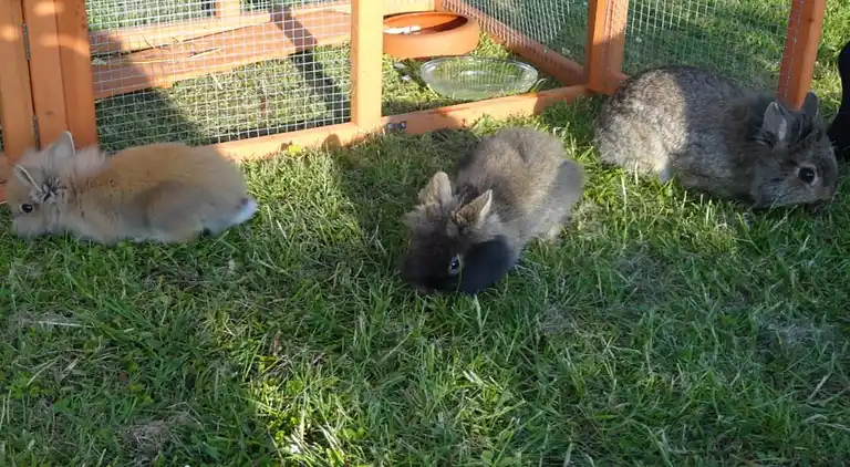 Herrgård i Kägsdorf