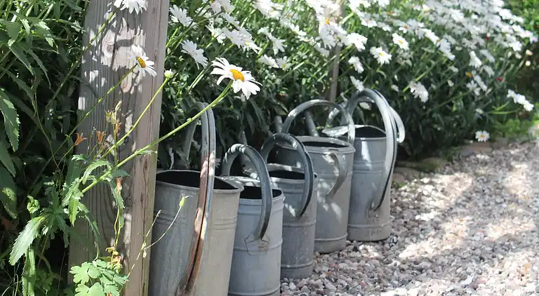 Ferielejlighed i Rakow