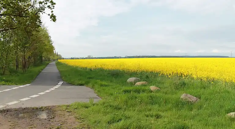 Ferielejlighed i Kröpelin