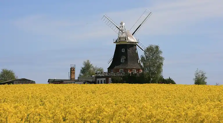 Sommerhus i Niederklutz