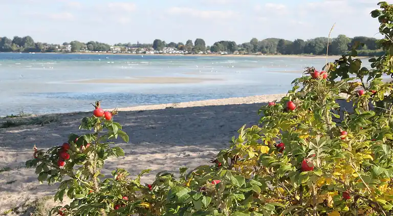 Ferielejlighed i Wohlenberg