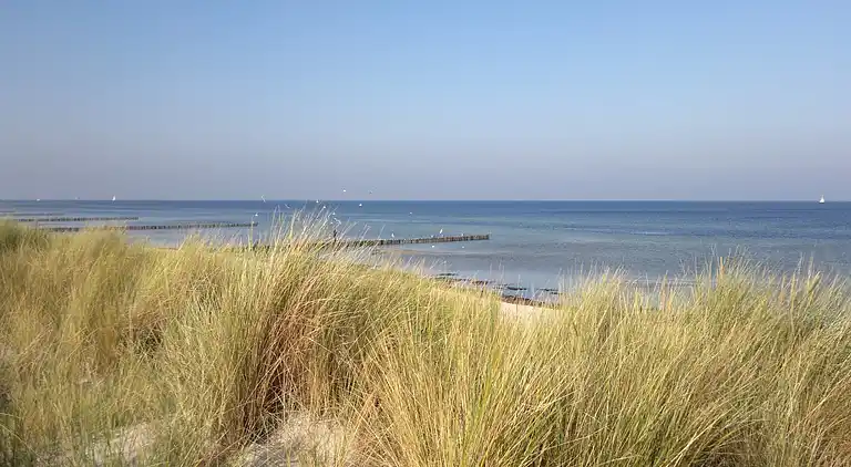 Sommerhus i Niendorf