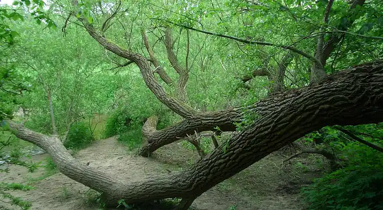 Ferielejlighed i Neubukow