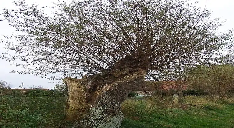 Apartment in Malchow