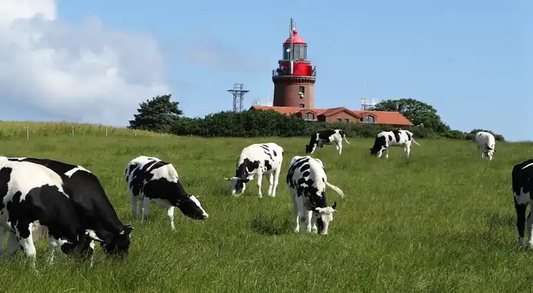 Herrgård i Kägsdorf