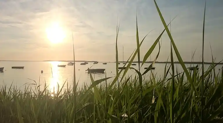 Sommerhus i Niendorf