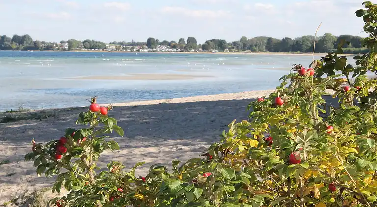 Ferielejlighed i Wohlenberg