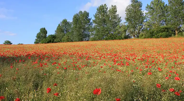 Ferielejlighed i Brusow