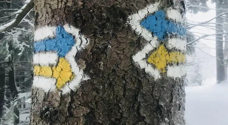 Sommerhus i Bad Brambach