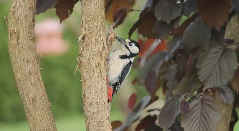 Ferielejlighed i Brusow