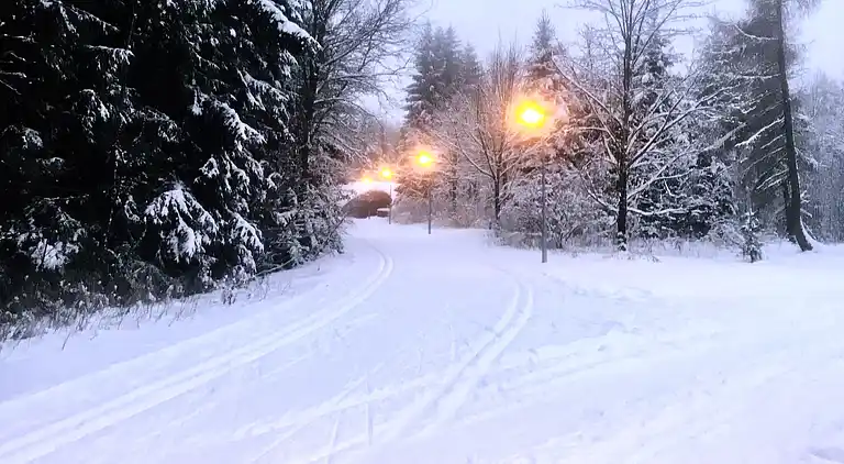Sommerhus i Bad Brambach