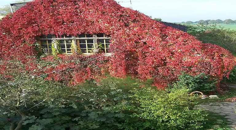 Ferielejlighed i Retschow