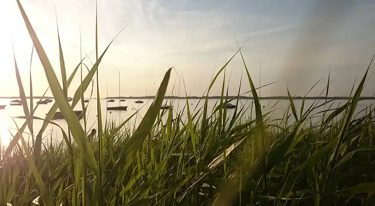 Holiday home in Rerik