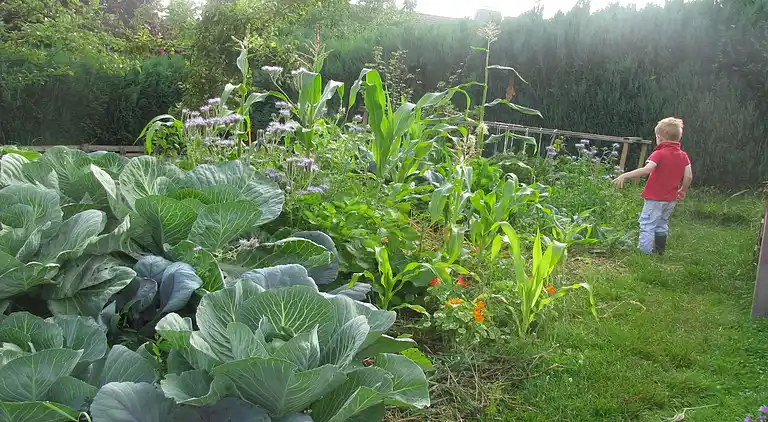 Apartment in Battenberg