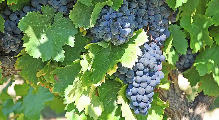 Casa vacanze in Céreste