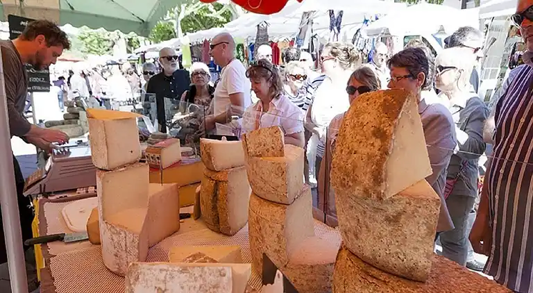 Vakantiehuis in Montselgues