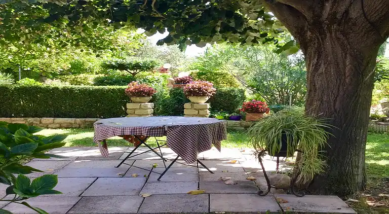 Farm house in Carpentras