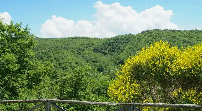 Ferienhaus in Città di Castello