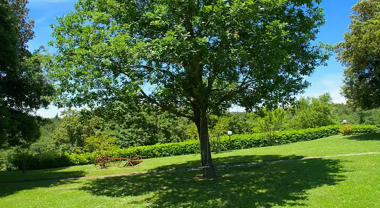 Ferienhaus in Città di Castello