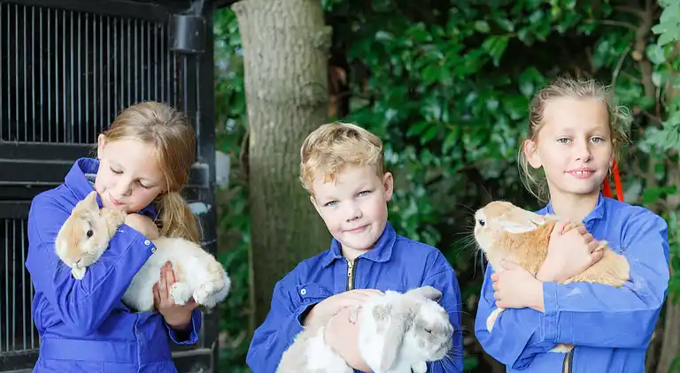 Sommerhus i Haaksbergen