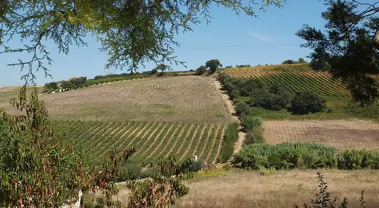 Herregård i Aldeia Galega da Merceana