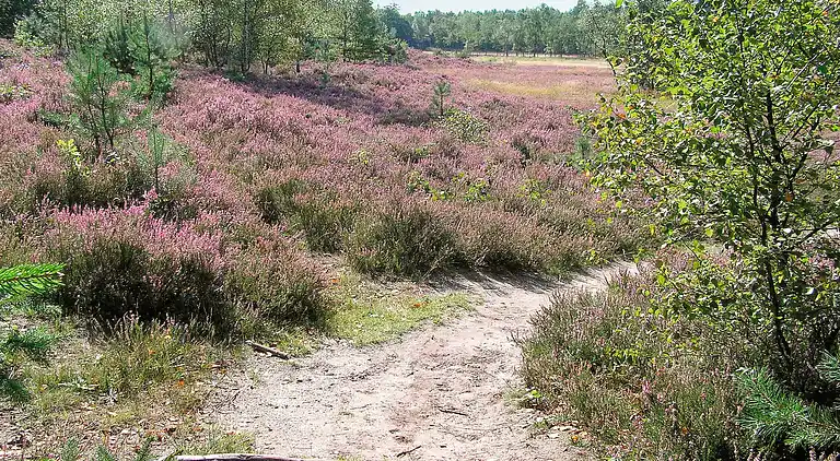 Semesterbostad i Hoogersmilde