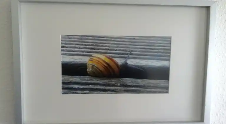 Sommerhus i Fliemstorf