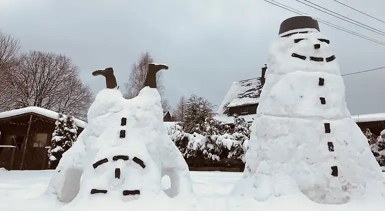Sommerhus i Klingenthal