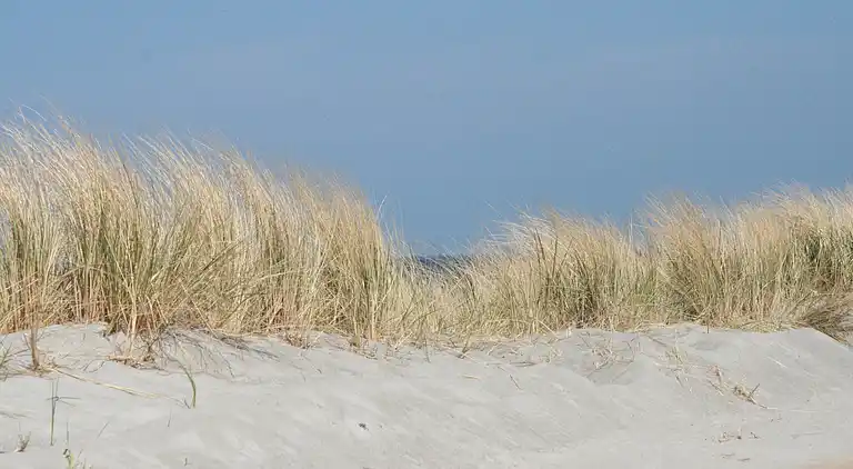 Ferielejlighed i Heiligendamm