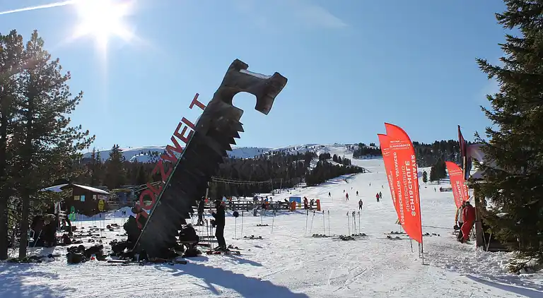 Hytte i Sankt Lorenzen ob Murau