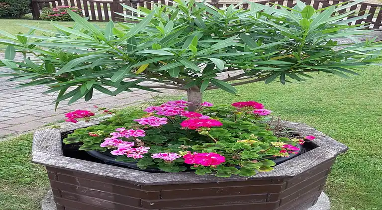 Ferielejlighed i Rerik