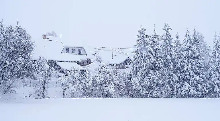 Ferielejlighed i Miekenhagen