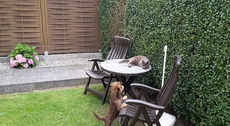 Ferielejlighed i Rerik