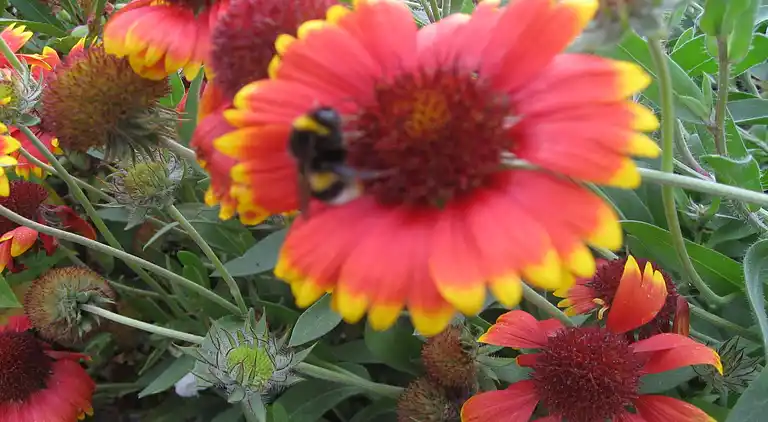 Sommerhus i Buschmühlen