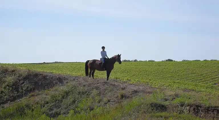 Sommerhus i Buschmühlen