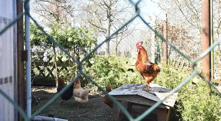 Ferielejlighed i Rerik