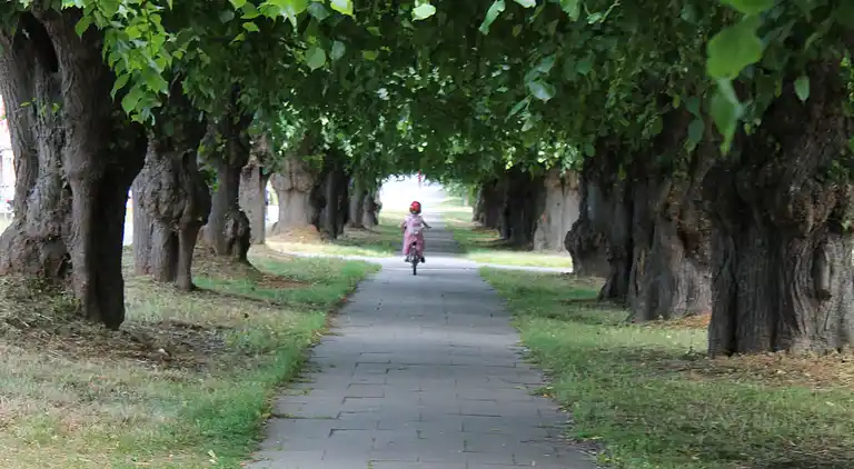 Ferielejlighed i Warnkenhagen