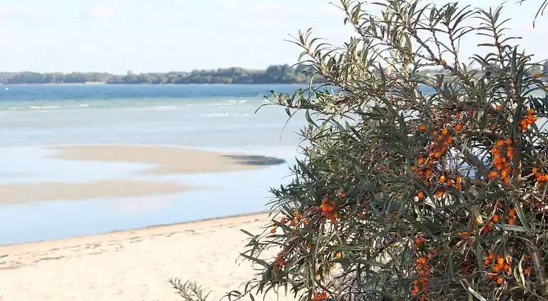 Ferielejlighed i Warnkenhagen