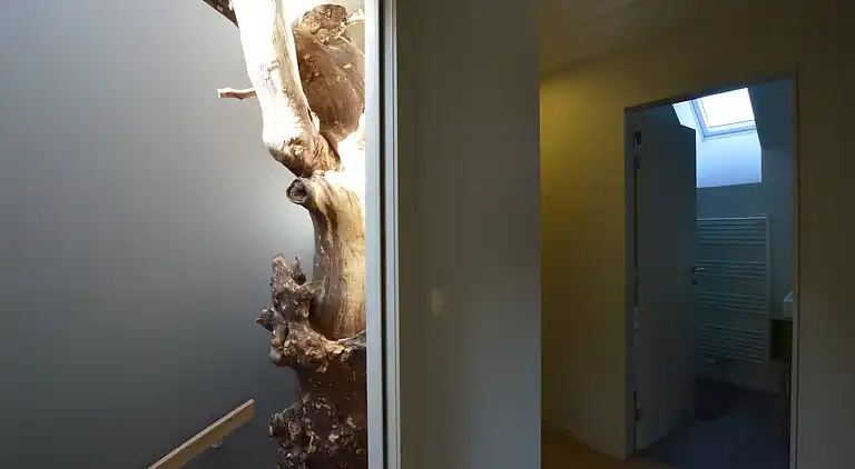 Holiday home in Europe