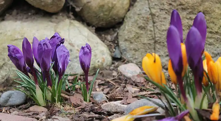 Apartment in Wischuer