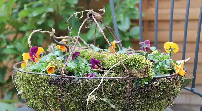 Holiday home in Kägsdorf