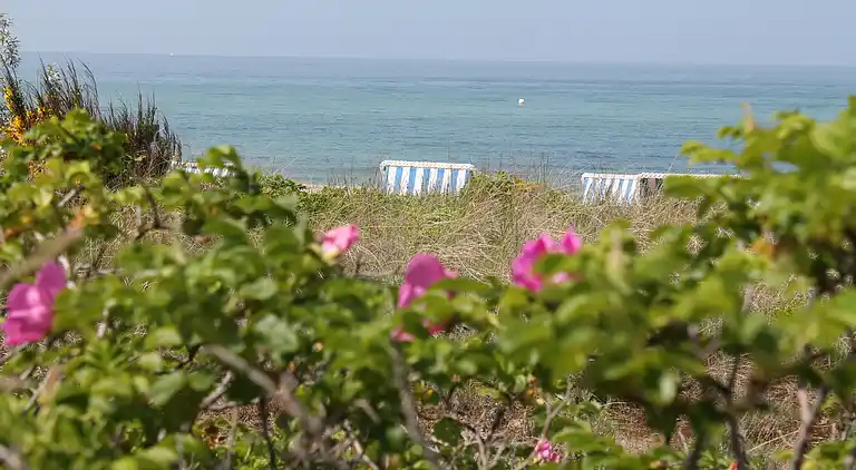 Apartment in Wischuer