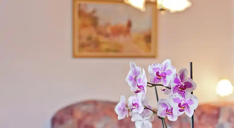 Ferielejlighed i Schweina