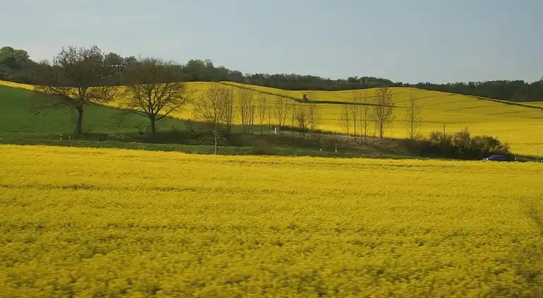 Ferielejlighed i Feriendorf Frankenau